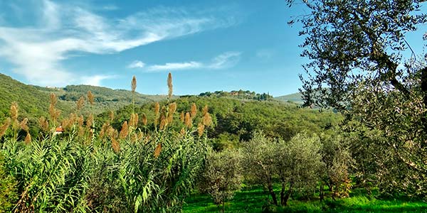 Complejo-Rural-Matarranya