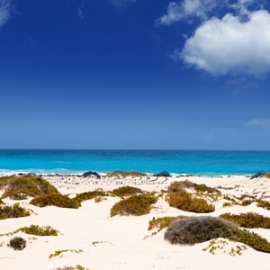 Playa Archipiélago Chinijo