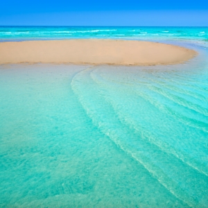 Playas de Sotavento, Fuerteventura